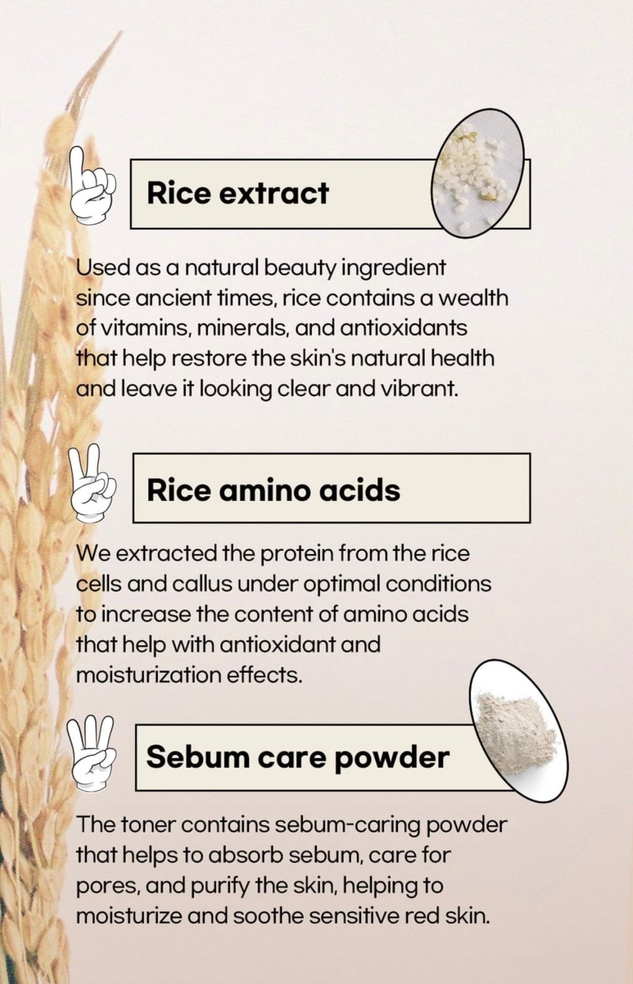 Beauty Of Joseon Glow Replenishing Rice Milk - Loțiune Hidratantă cu Extract de Orez pentru Piele Radiantă